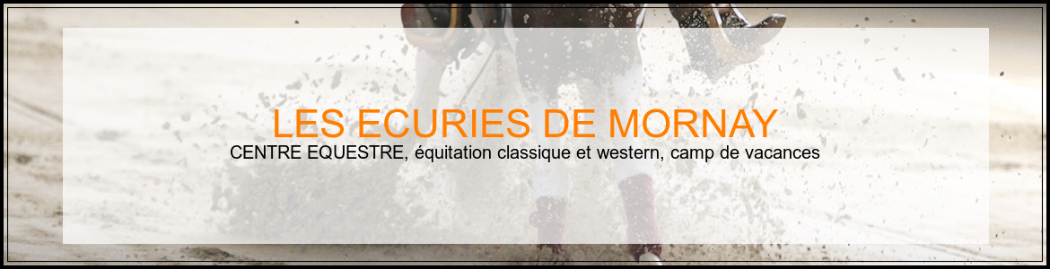 LES ECURIES DE MORNAY